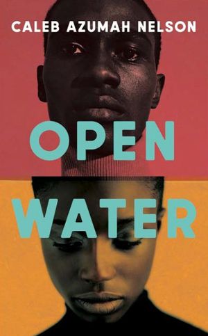Open Water book cover